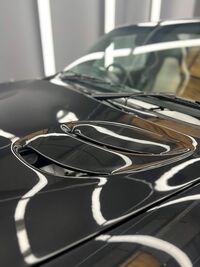 TVR TAMORA