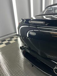 TVR TAMORA