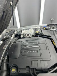 JAGUAR XK