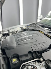 JAGUAR XK