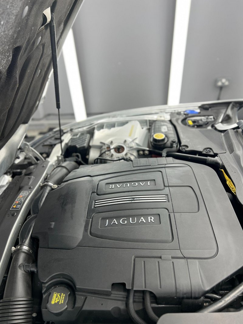 JAGUAR XK