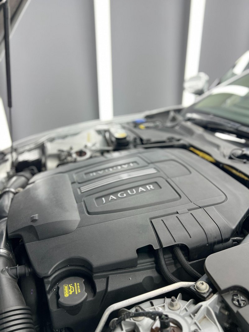 JAGUAR XK